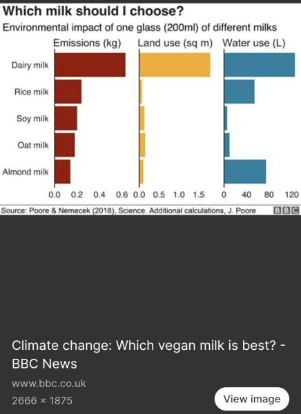 Which non dairy milk do you use?