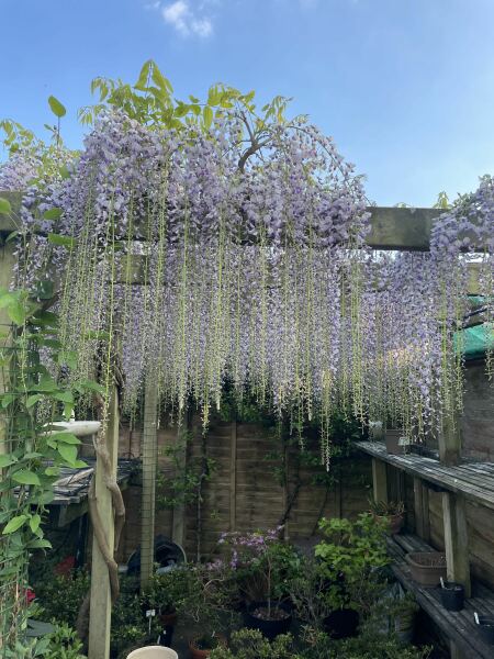 The Year Round Nigel Slater Discussion thread