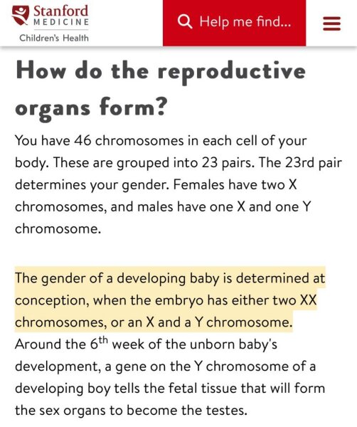 Gender and pronouns