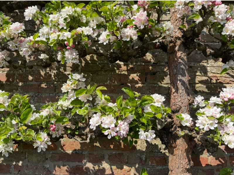 The Year Round Nigel Slater Discussion thread