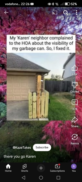 Neighbour complaining about my bins
