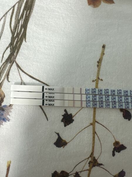 Ovulation tests staying same