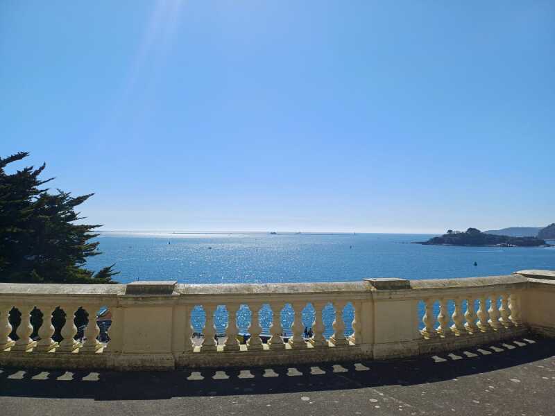 The Bluestocking - where women are women, and small furry animals are gerbils, quokkas,  capybaras, or a red panda called Rosy