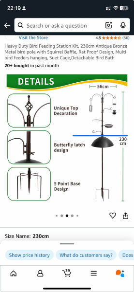 To carry on feeding the birds even though rats have appeared in our garden?