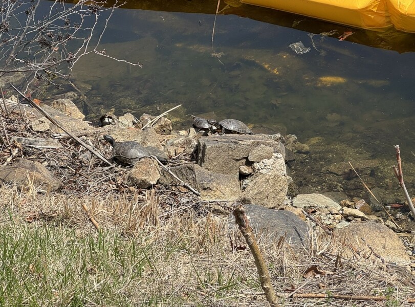 Come and tell us your dull and unexciting news 33: Calmly through the day