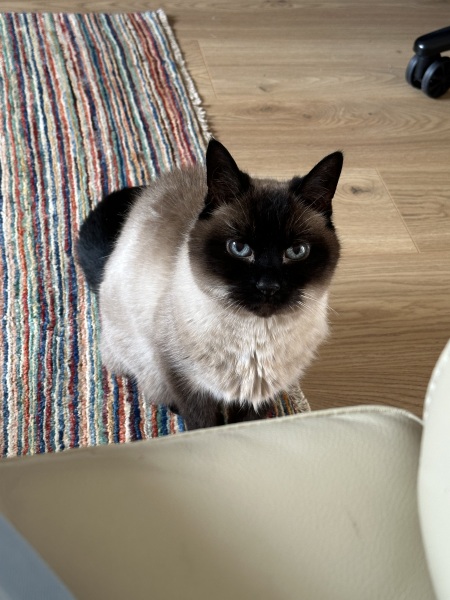 Mounjuro Auggies Thread 13