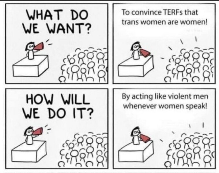 TRAs deface Millicent Fawcett statue