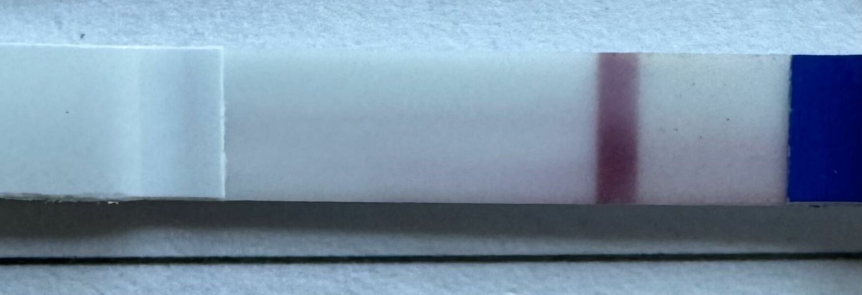 April 2025 TTC Support Group