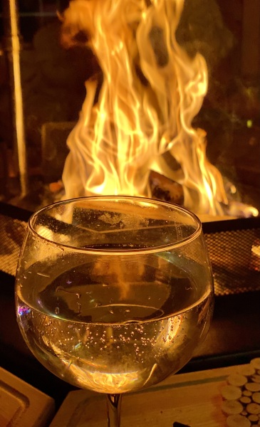 The Bluestocking Arms Women's Pub, where women make friends with Beetles, Androids, Cakes, Dragons, Hedgehogs and other women, where wit and wisdom flourish