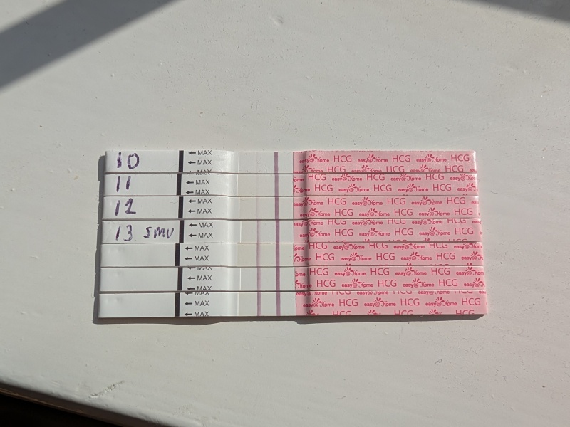 Early pregnancy and can't convince myself it's going to be ok