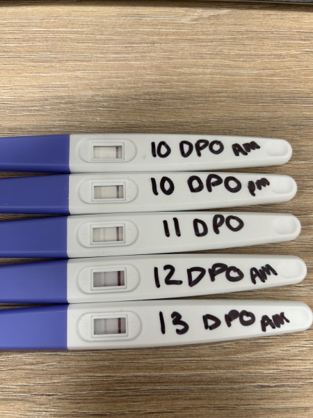 Progression line…