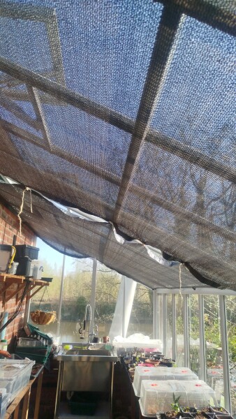 What's the best thing you've bought for your greenhouse?