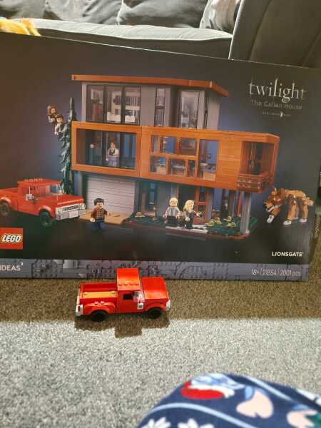 To show me your Lego collection?