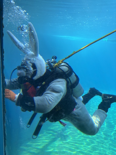 Come and tell us your dull and unexciting news 33: Calmly through the day