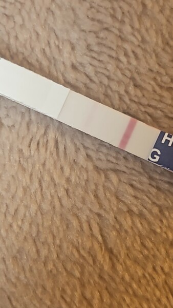 Pregnancy test