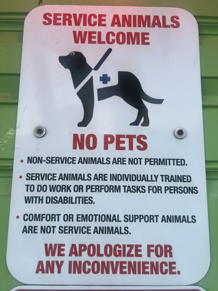 To dare to think that the Cult of Dog has gone too far?