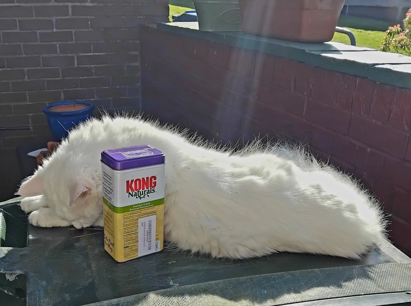 Hymns in Minor Keys & the Russian Easter Overture - the Excellent Cats ignore Culture.....