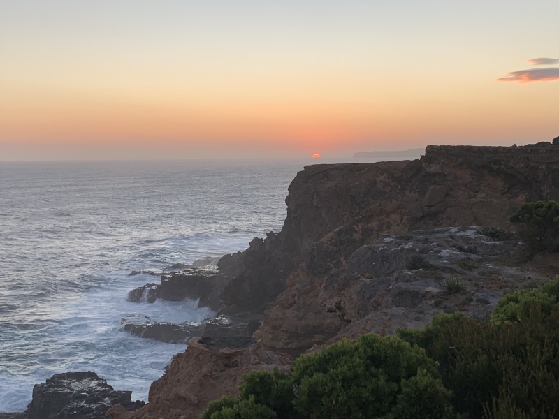 The Great Recovery part 4