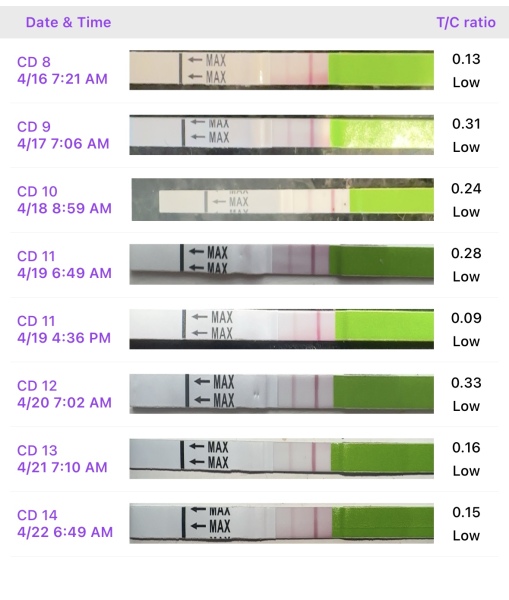 LH test advice please