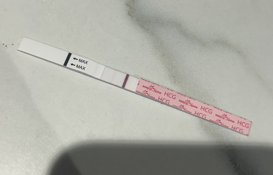 April 2025 TTC Support Group