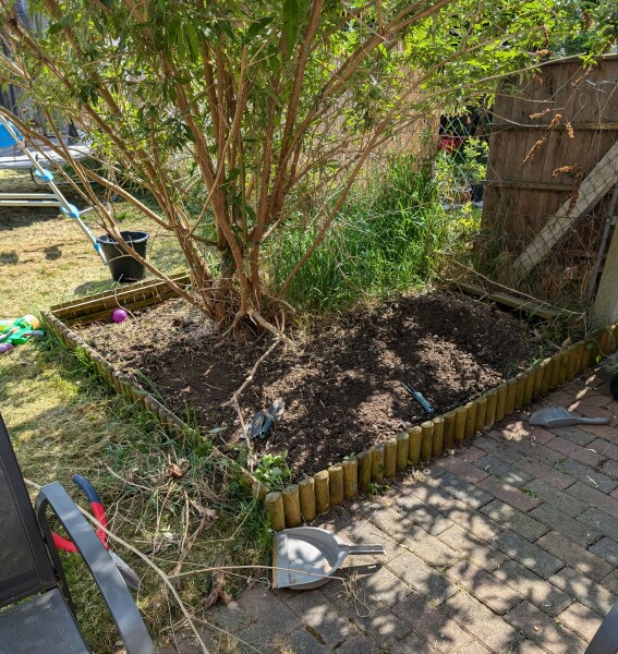 Novice.. any idea what to plant here (pic included)