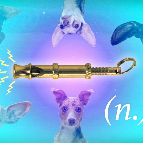 UCU being taken to tribunal over discrimination for 'gc' views