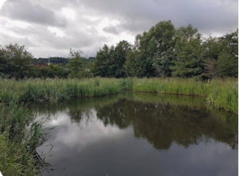 My toddler fell in a pond