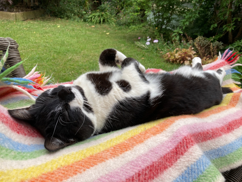 Thread 17 - TalkLair: "Okay, first of all, what's with the outfit? Live in the now, okay? You look like DeBarge."