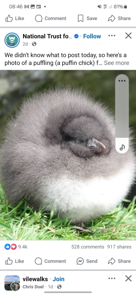 The Bluestocking Arms Women's Pub, where women make friends with Beetles, Androids, Cakes, Dragons, Hedgehogs and other women, where wit and wisdom flourish