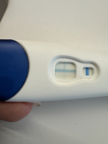 Clear blue test. Evap line or positive