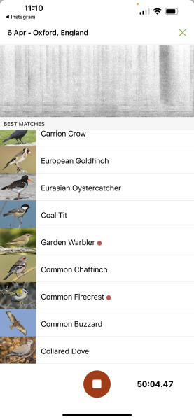 Garden birds today according to my Merlin app