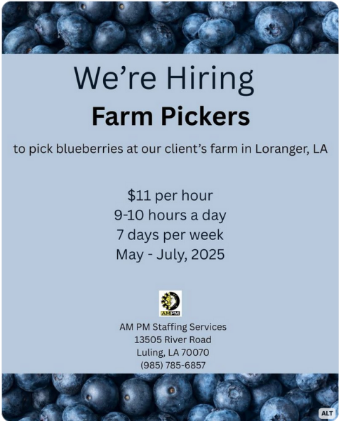 Is anyone watching this Trump car crash?