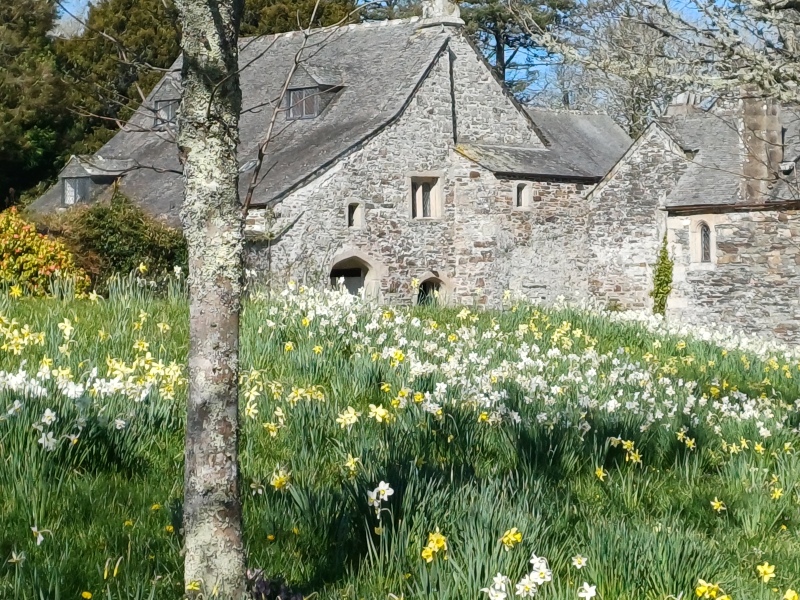 The Bluestocking - where women are women, and small furry animals are gerbils, quokkas,  capybaras, or a red panda called Rosy