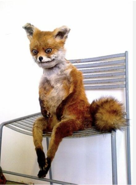 Confessions of a Female Founder fails  to chart this week