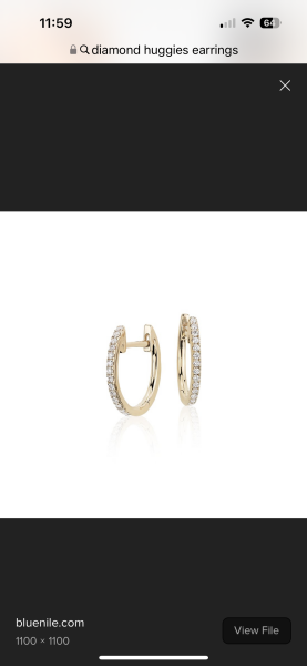 Earrings that can be worn all the time, even in the shower?