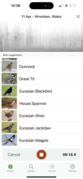 Garden birds today according to my Merlin app