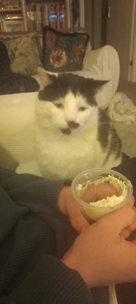 Hymns in Minor Keys & the Russian Easter Overture - the Excellent Cats ignore Culture.....