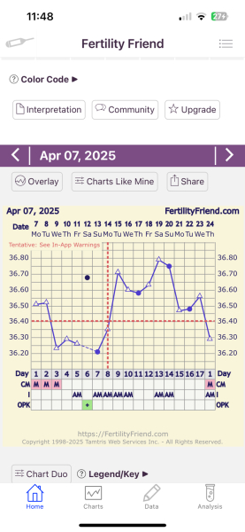 TTC after miscarriage- no rise in BBT