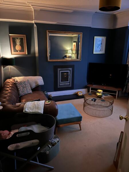 Has anyone got a dark painted living room?