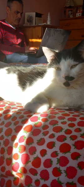 Hymns in Minor Keys & the Russian Easter Overture - the Excellent Cats ignore Culture.....