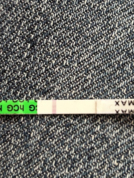 Has anyone else been successful and got a BFP after BD only once in a month?