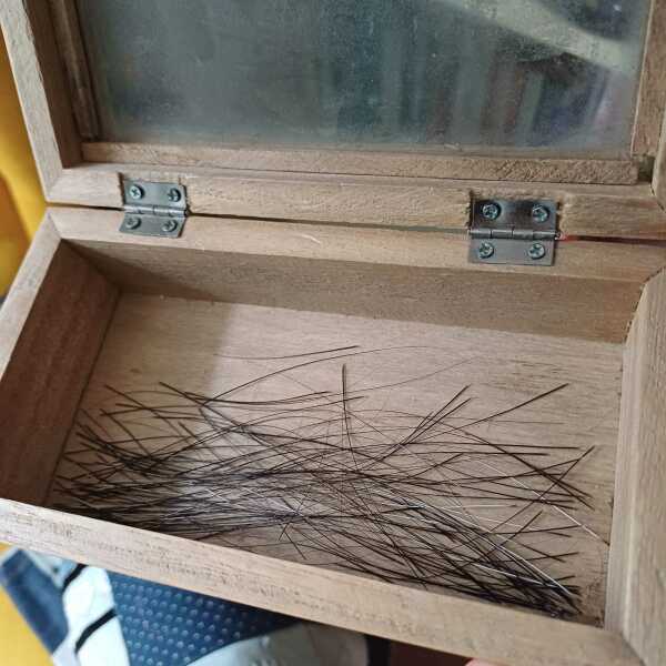 Do you collect whiskers?