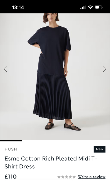 Japan - work trip help