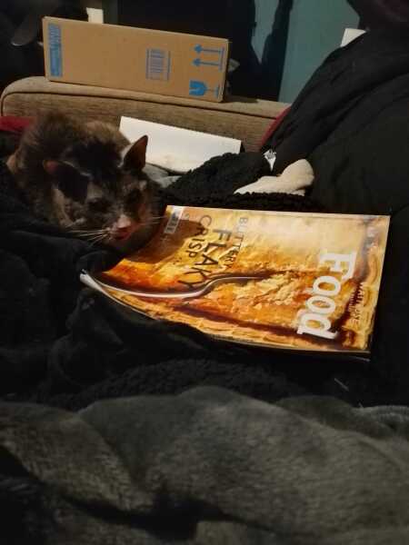 Hymns in Minor Keys & the Russian Easter Overture - the Excellent Cats ignore Culture.....