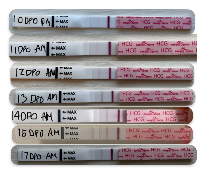 This progression isn’t looking good is it?