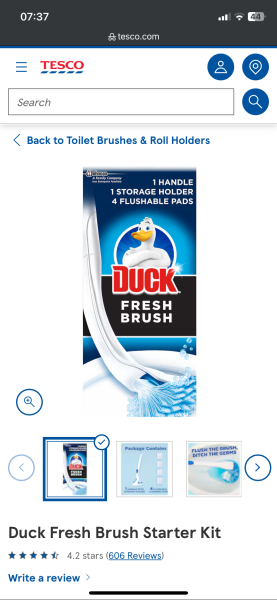 Toilet brushes - what am I missing
