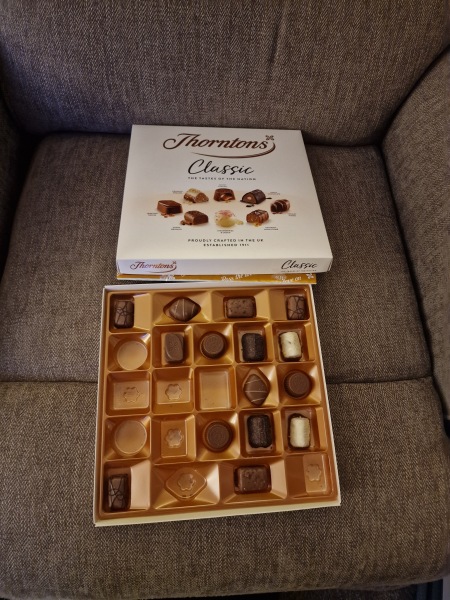 The Bluestocking - where women are women, and small furry animals are gerbils, quokkas,  capybaras, or a red panda called Rosy