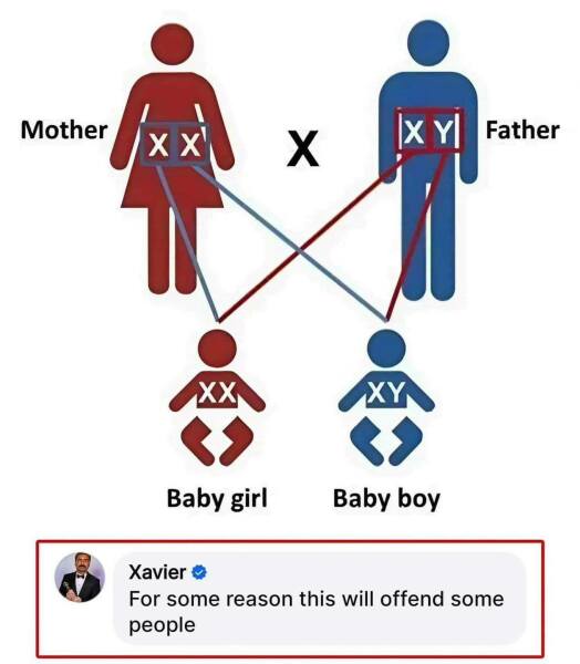 A spectrum of stupidity