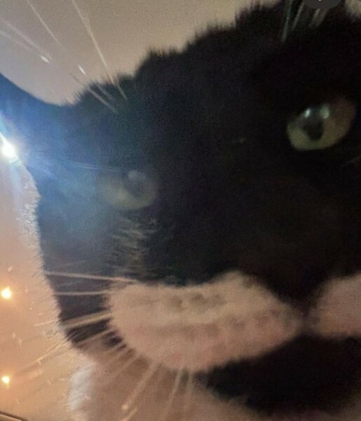 Thread 22 Starmer - Running up to local elections