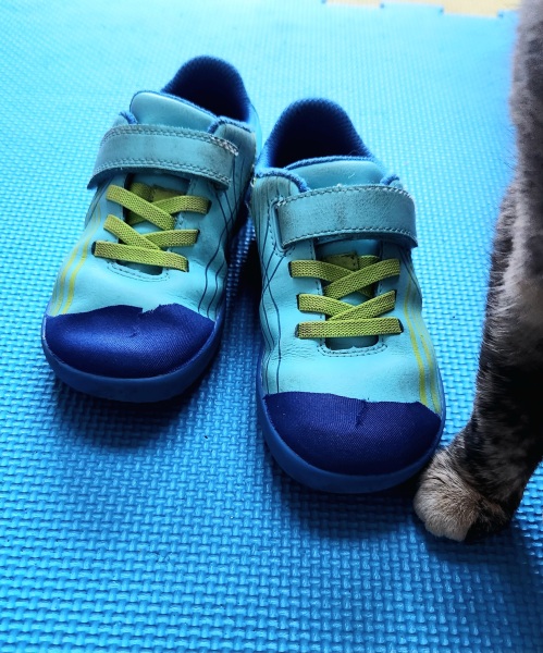 Toddlers brand new nikes scuffed